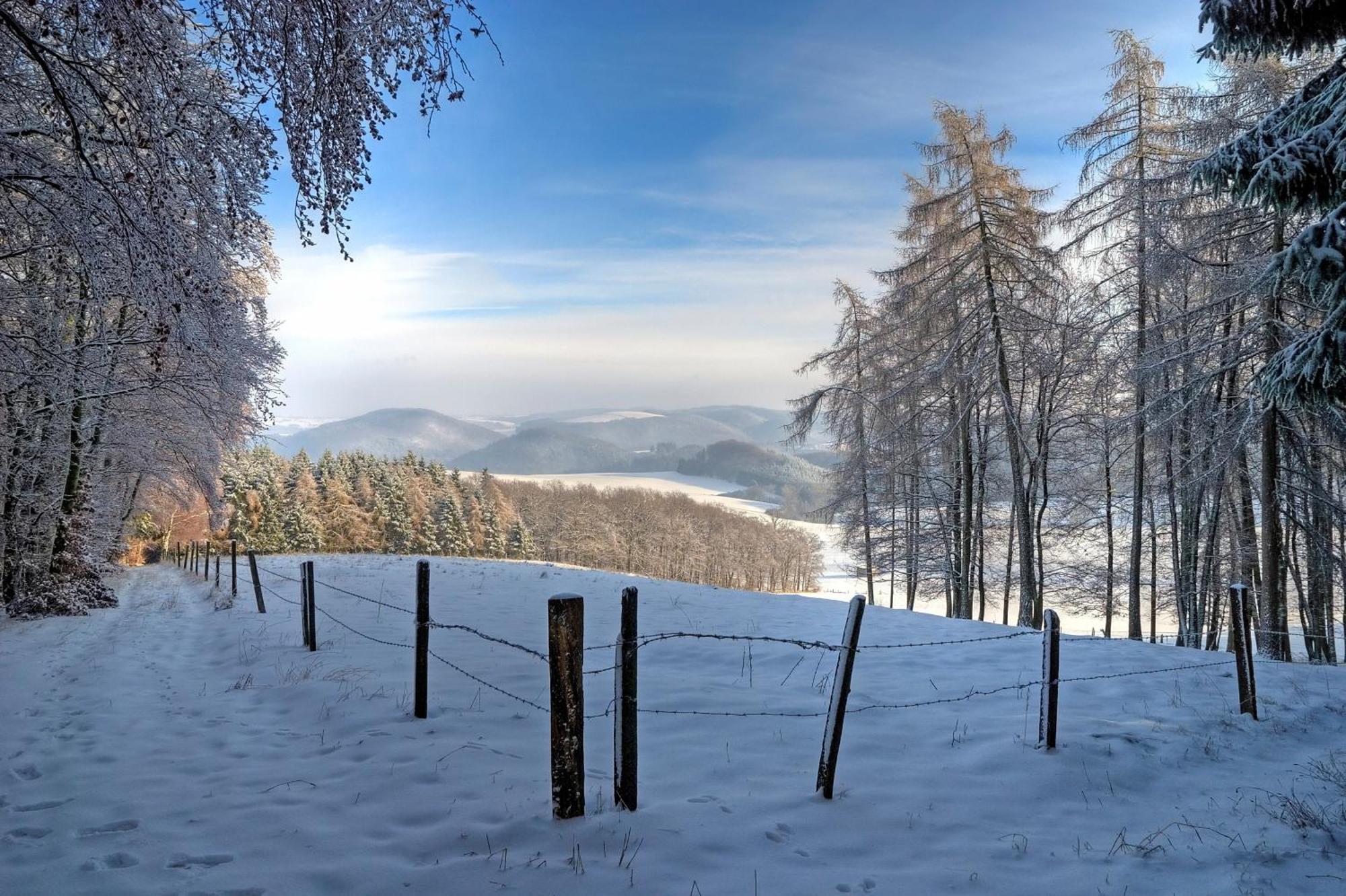 Diemelsee Sudeck - Ein Ferienhaeuschen Zum Wohlfuehlen Exterior foto