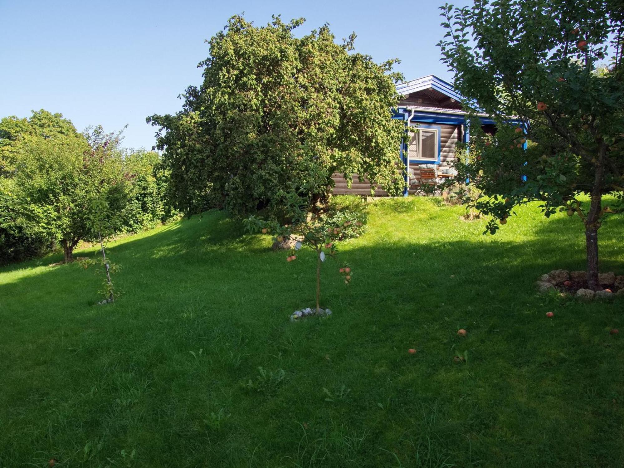 Diemelsee Sudeck - Ein Ferienhaeuschen Zum Wohlfuehlen Exterior foto